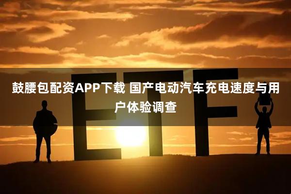鼓腰包配资APP下载 国产电动汽车充电速度与用户体验调查