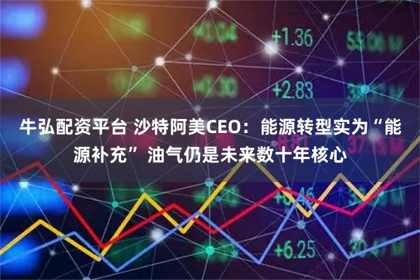 牛弘配资平台 沙特阿美CEO：能源转型实为“能源补充” 油气仍是未来数十年核心