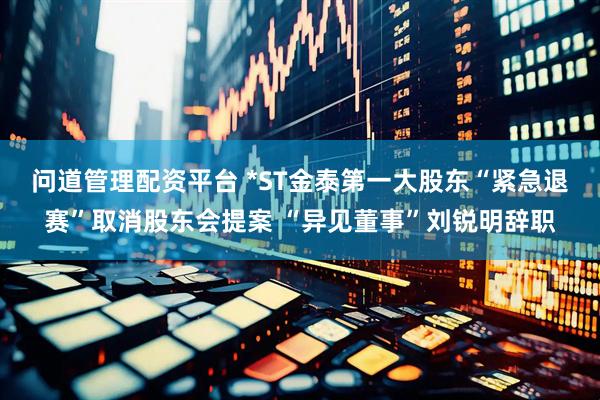 问道管理配资平台 *ST金泰第一大股东“紧急退赛”取消股东会提案 “异见董事”刘锐明辞职